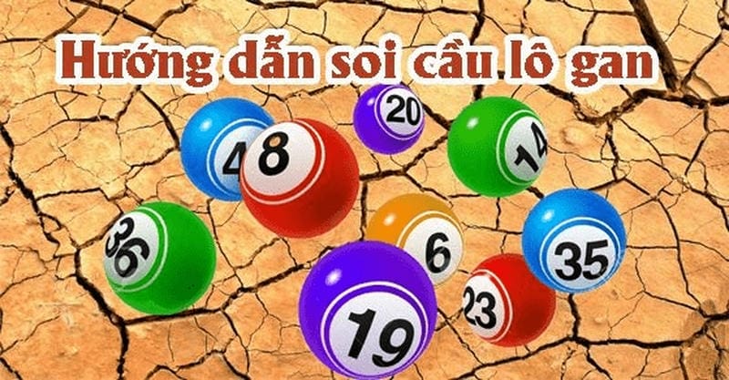 Bí Kíp Bắt Lô Gan Hiệu Quả Từ Cao Thủ F168
