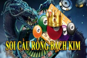 Bí quyết soi cầu 247 Rồng Bạch Kim chính xác cho người mới