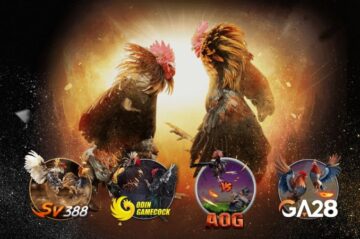Đá gà AE888 – Sân chơi chiến kê đỉnh cao của làng cá cược
