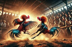 CEO Nguyễn Tuấn – Người đứng sau thành công của thương hiệu DagaCo